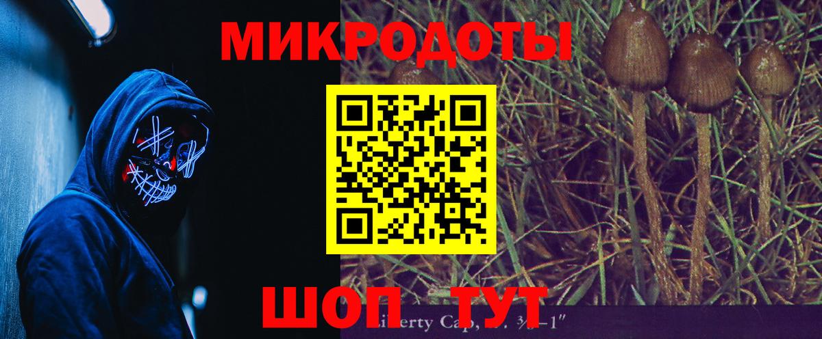 Ишимбай  Галлюциногенные грибы Cubensis  Вход с VPN  Псилоцибиновые грибы Psilocybe 